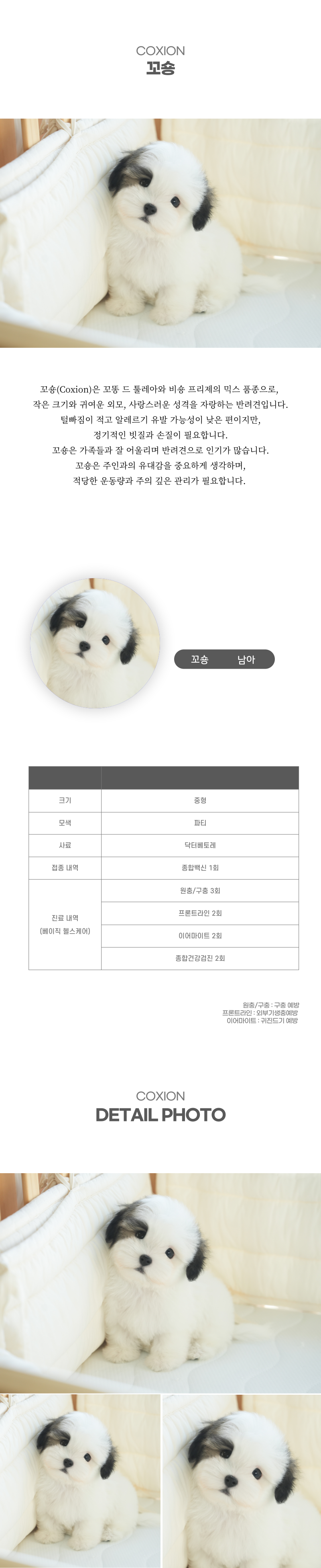 꼬숑_상세이미지_2