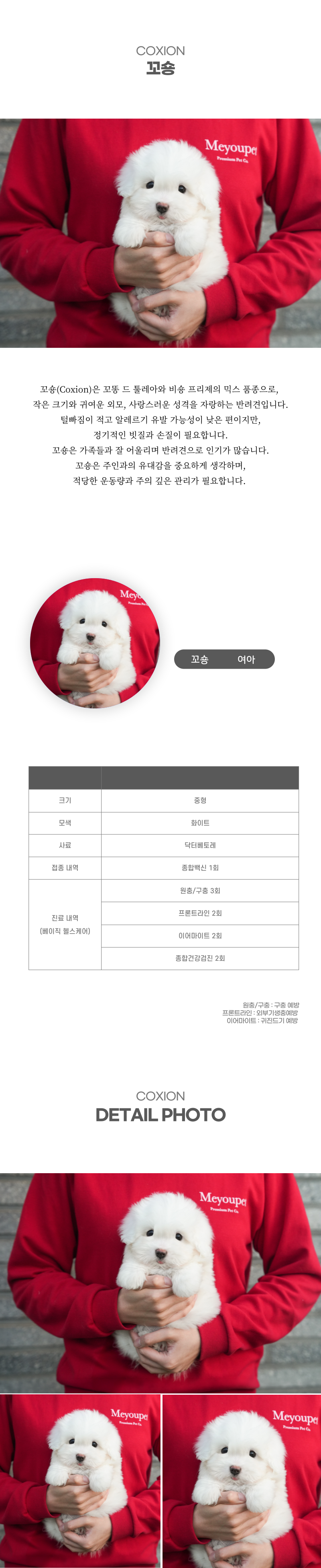 꼬숑_상세이미지_2