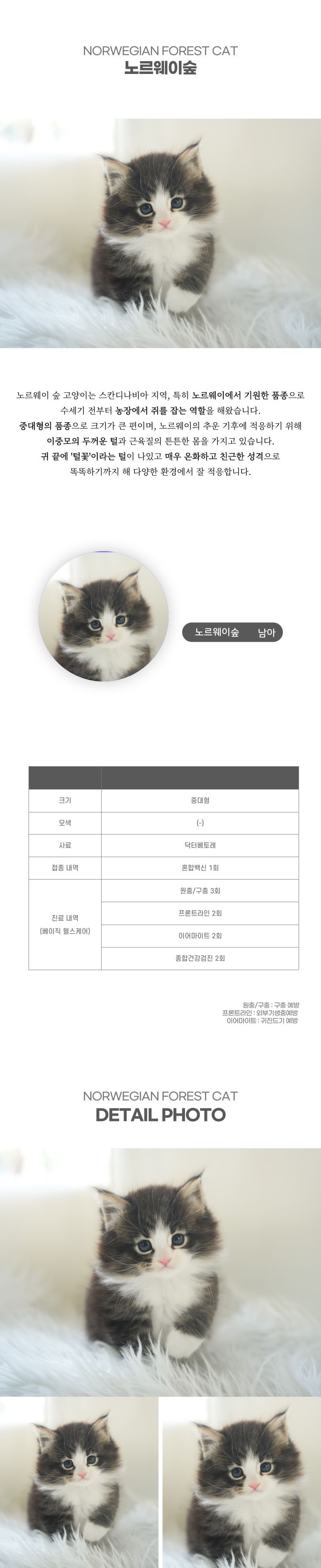 노르웨이숲_상세이미지_2