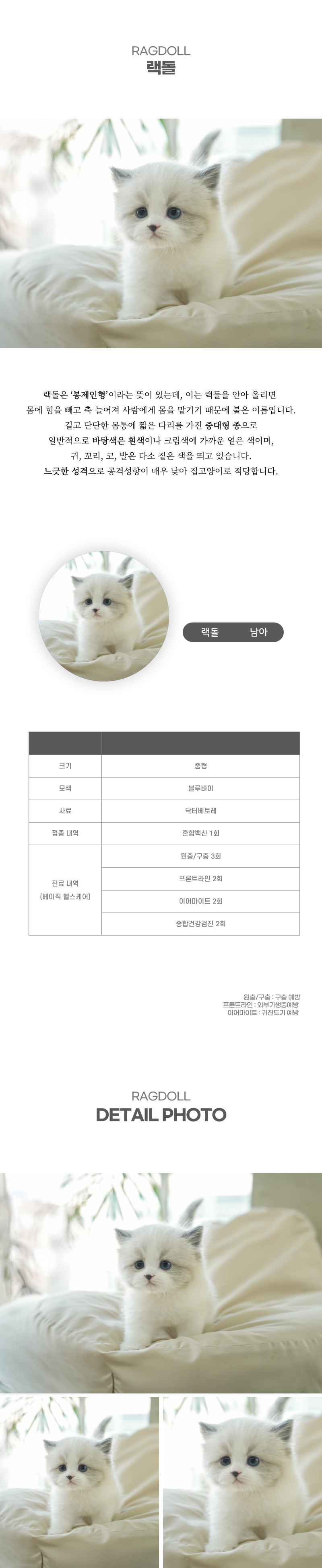 랙돌_상세이미지_2