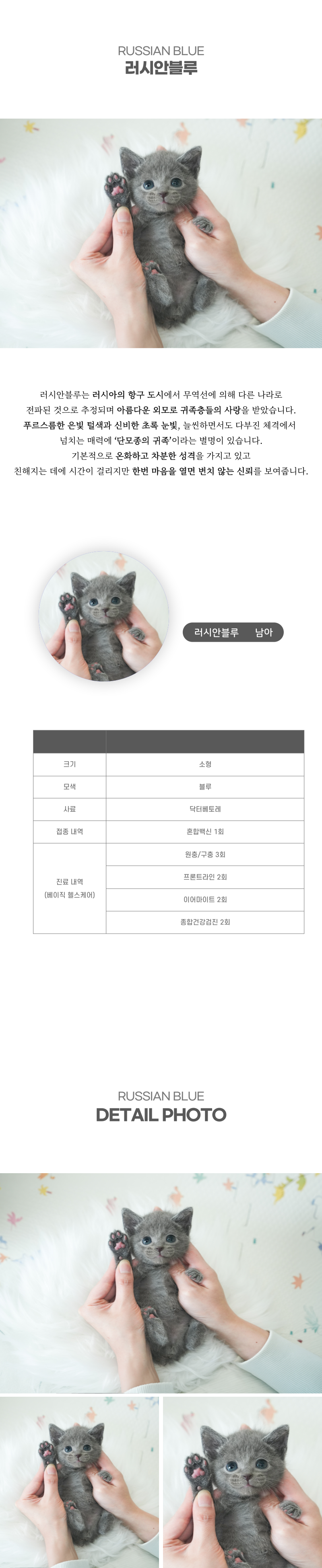 러시안블루_상세이미지_2