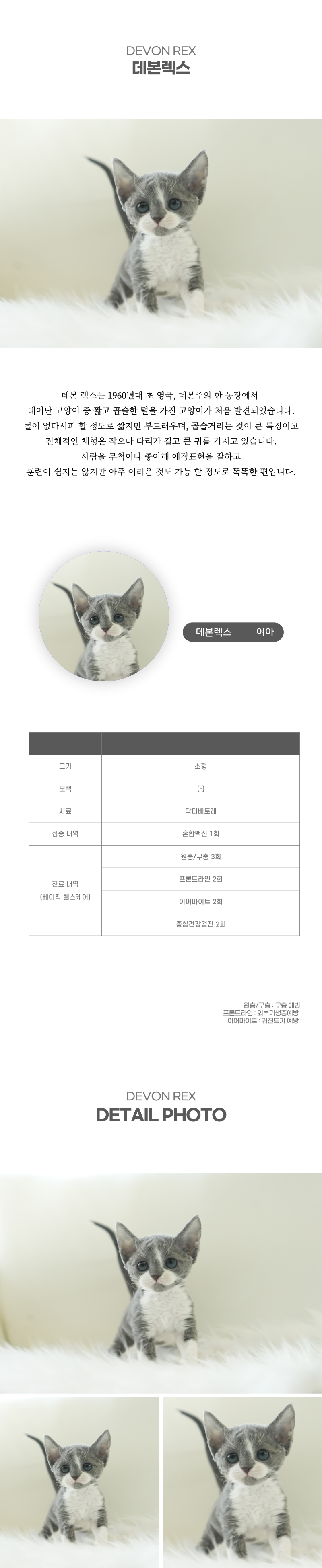 데본렉스_상세이미지_2