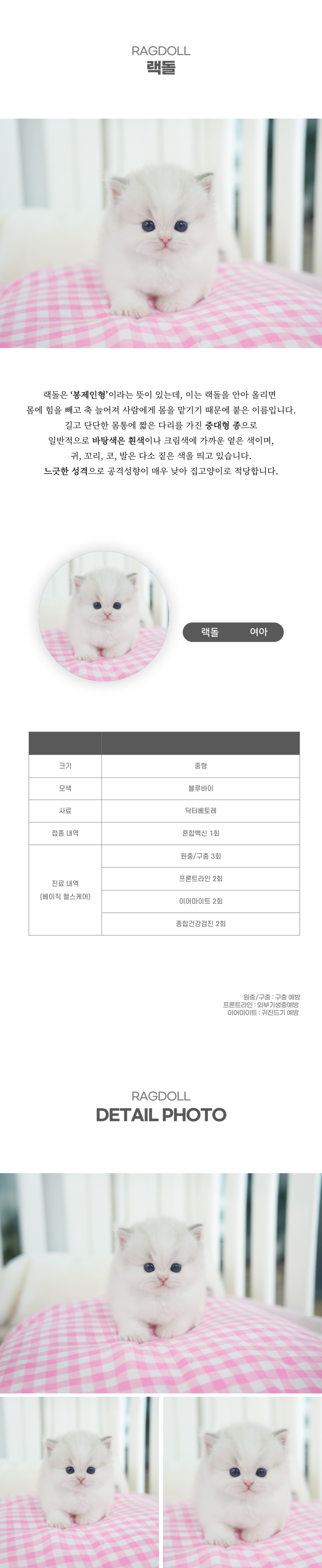 랙돌_상세이미지_2