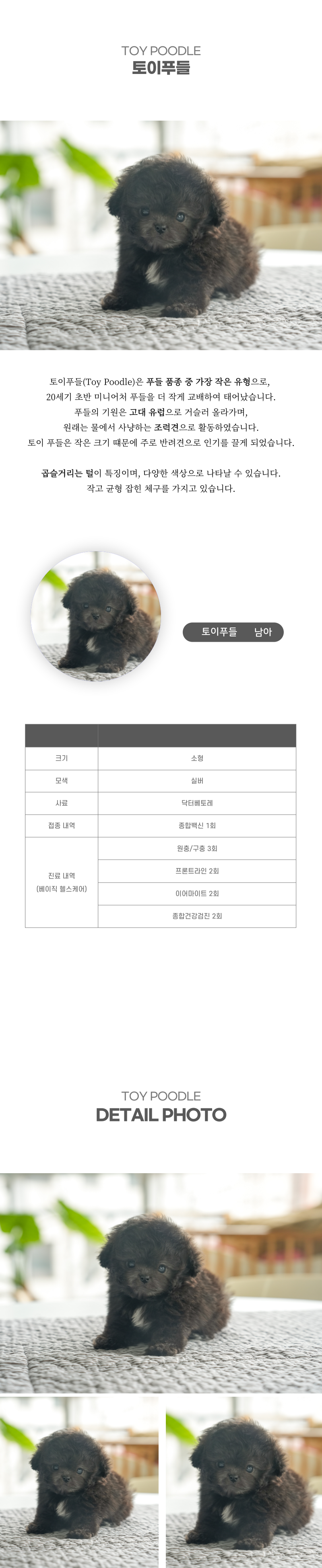 토이푸들_상세이미지_2