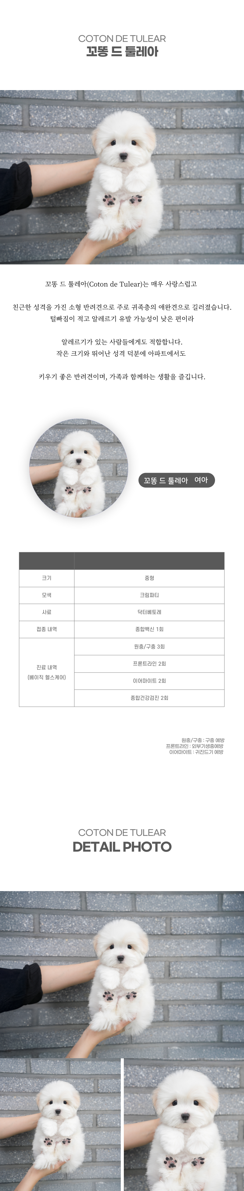 꼬똥_상세이미지_2