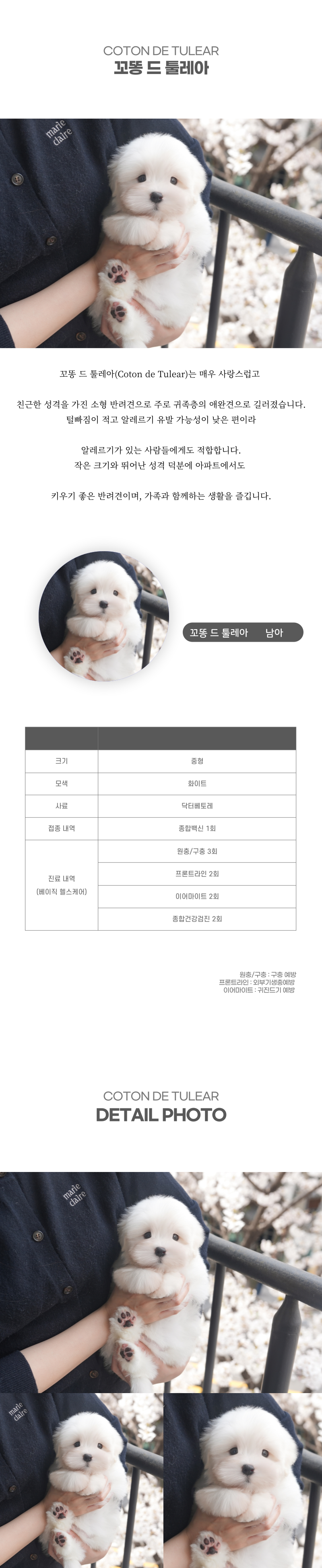 꼬똥_상세이미지_2