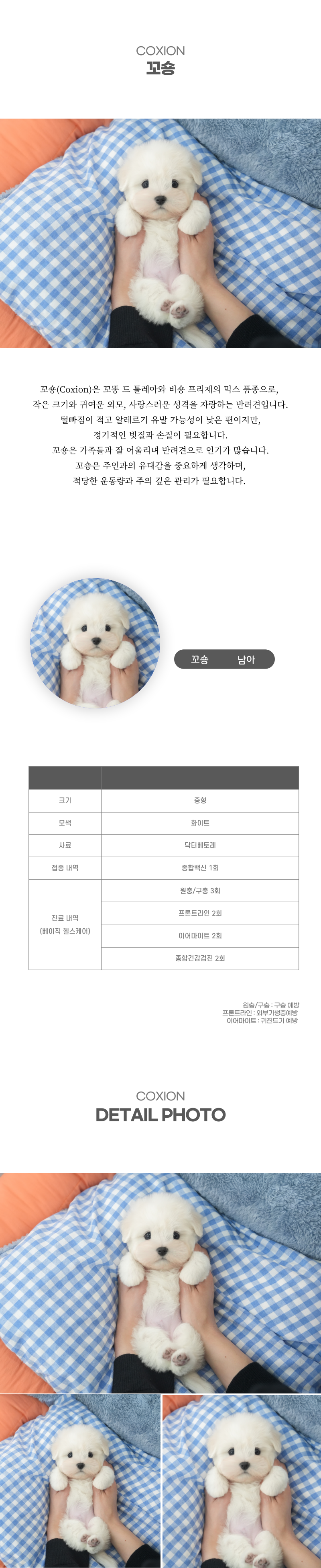 꼬숑_상세이미지_2
