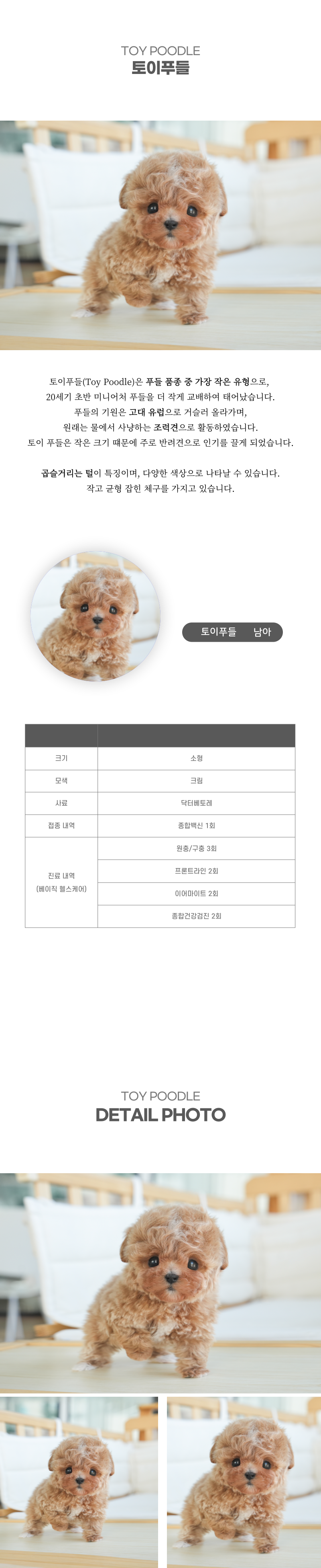 토이푸들_상세이미지_2