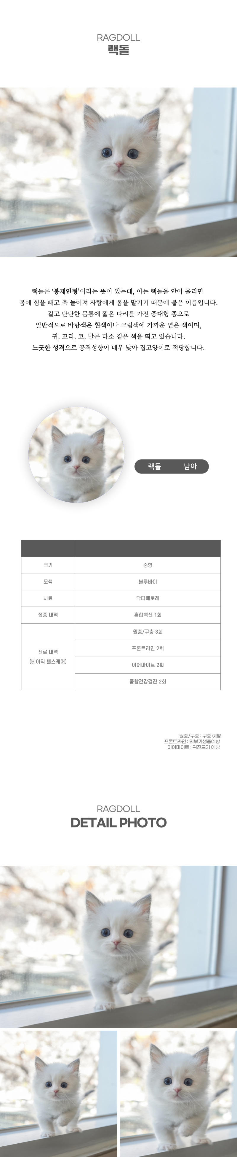 랙돌_상세이미지_2