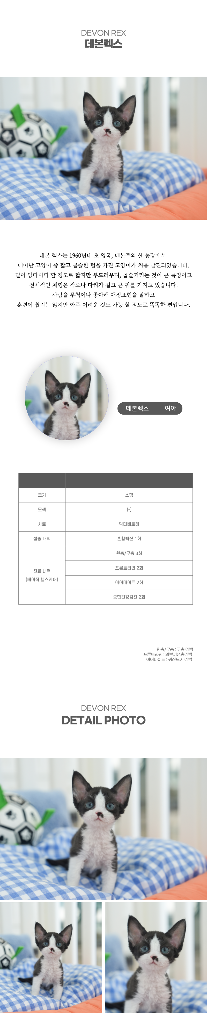 데본렉스_상세이미지_2