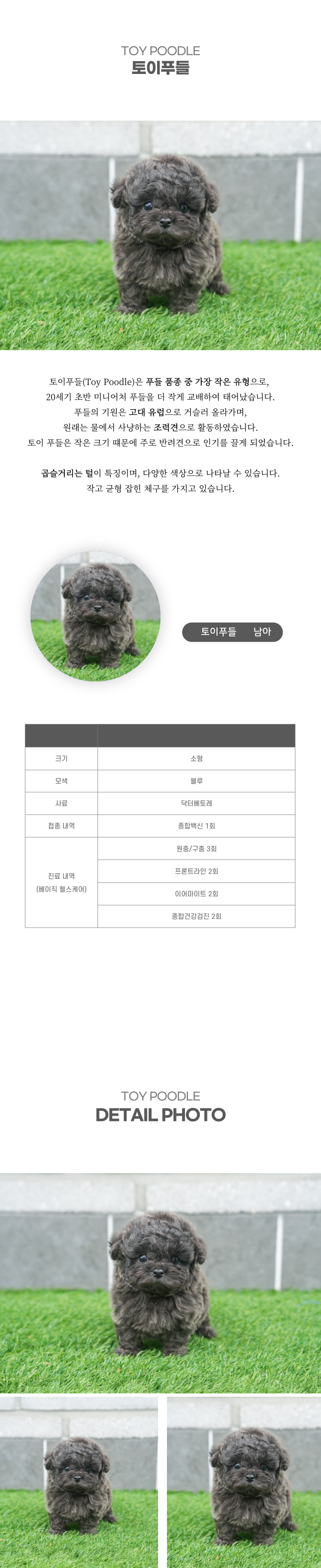 토이푸들_상세이미지_2