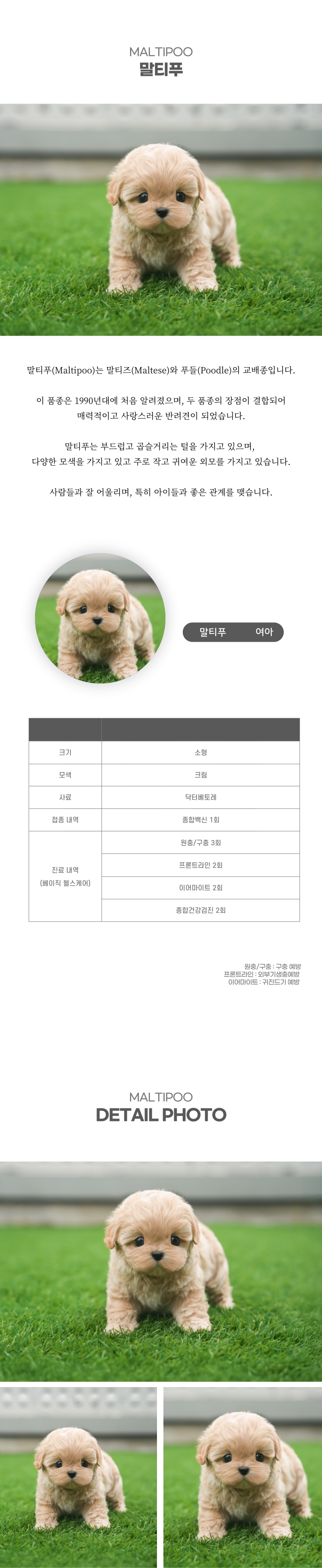 말티푸_상세이미지_2