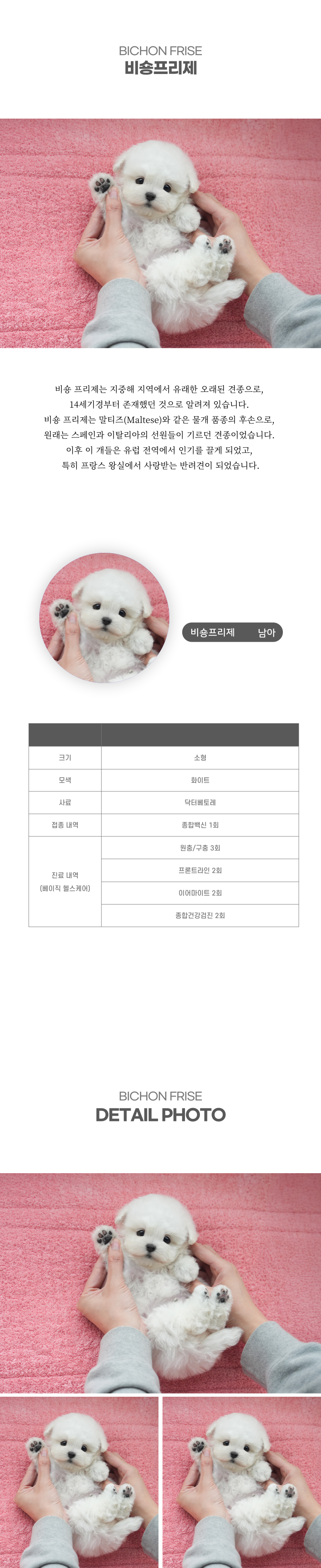 토이푸들_상세이미지_2