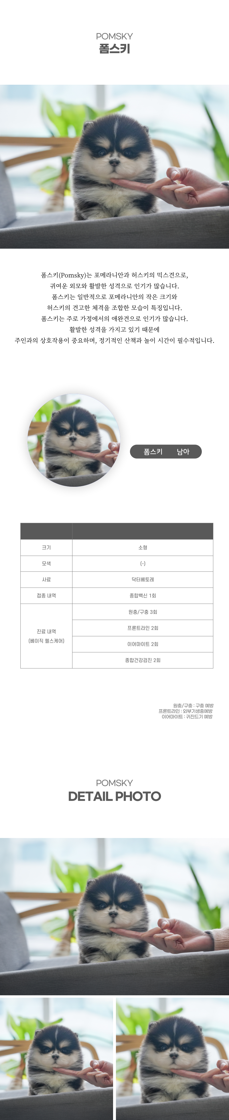 폼스키_상세이미지_2