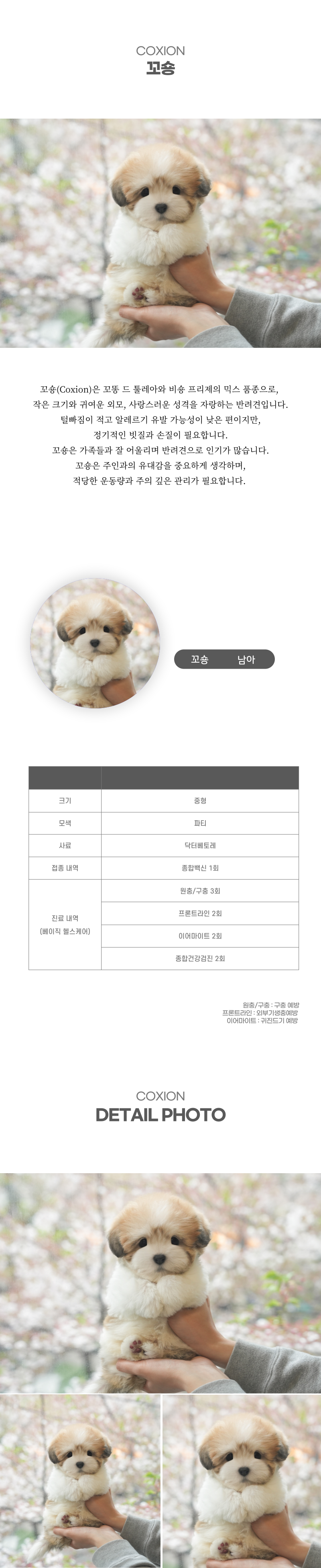꼬숑_상세이미지_2