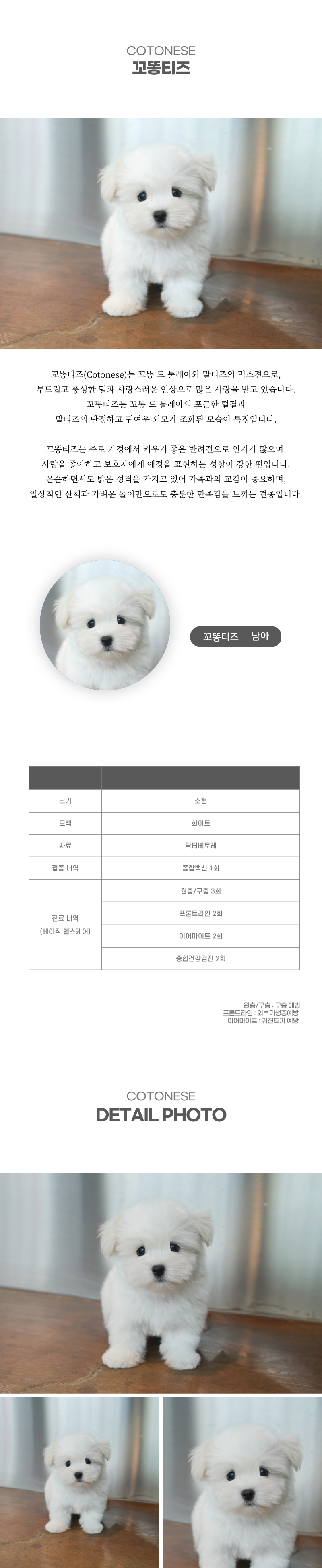 꼬똥티즈_상세이미지_2