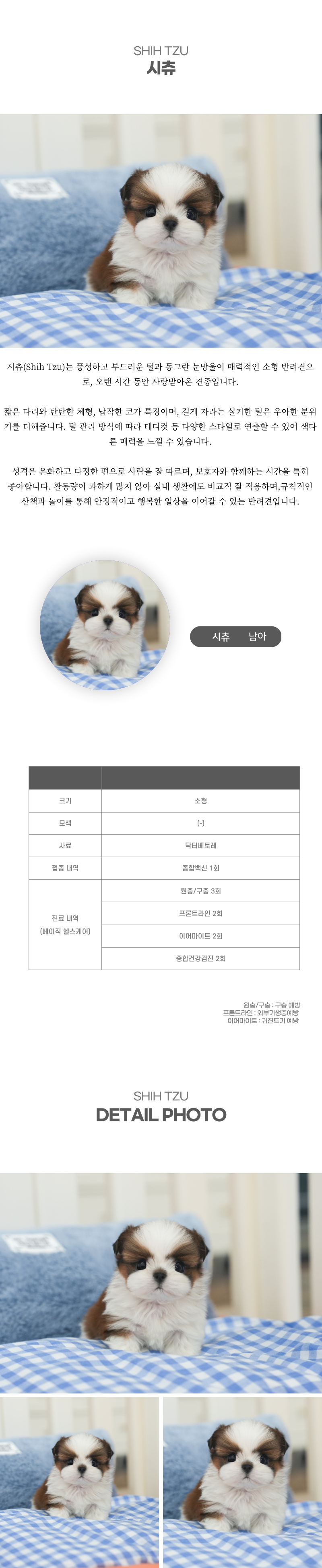 시츄_상세이미지_2