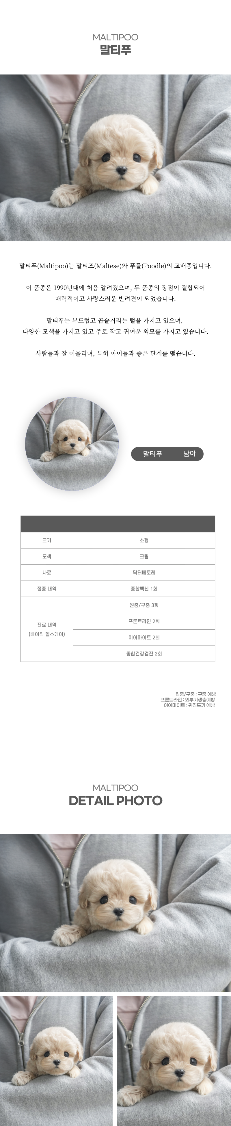 말티푸_상세이미지_2