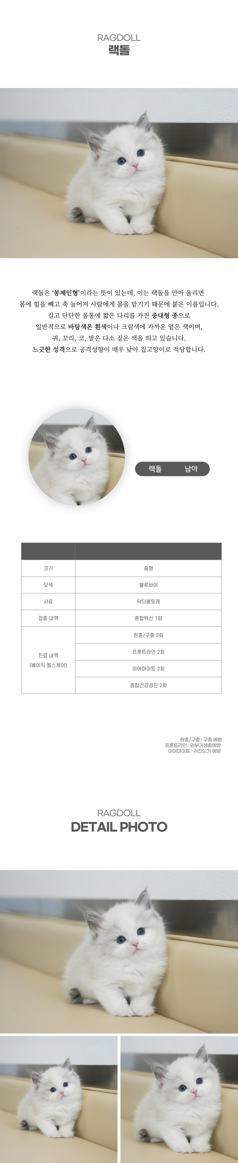 랙돌_상세이미지_2