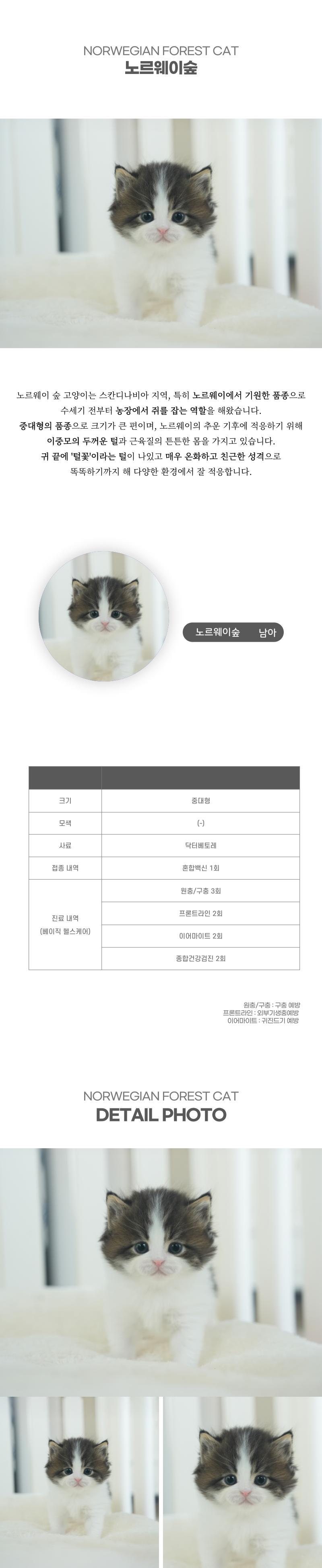 노르웨이숲_상세이미지_2