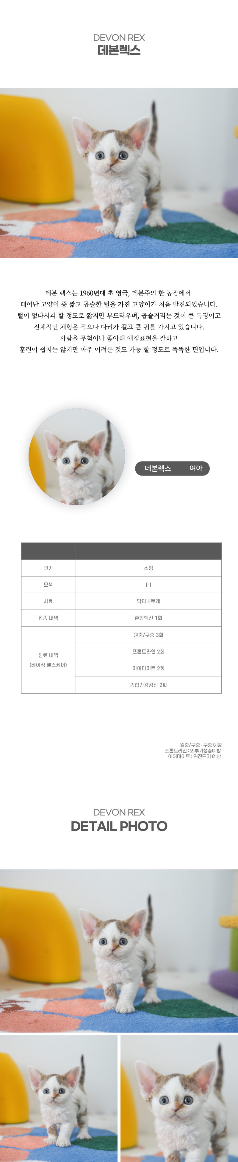 데본렉스_상세이미지_2