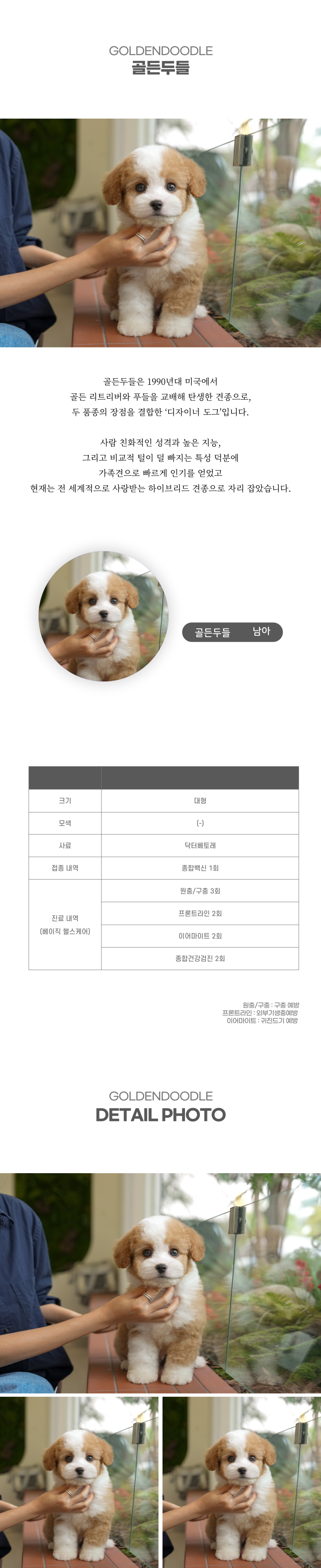 골든두들_상세이미지_2