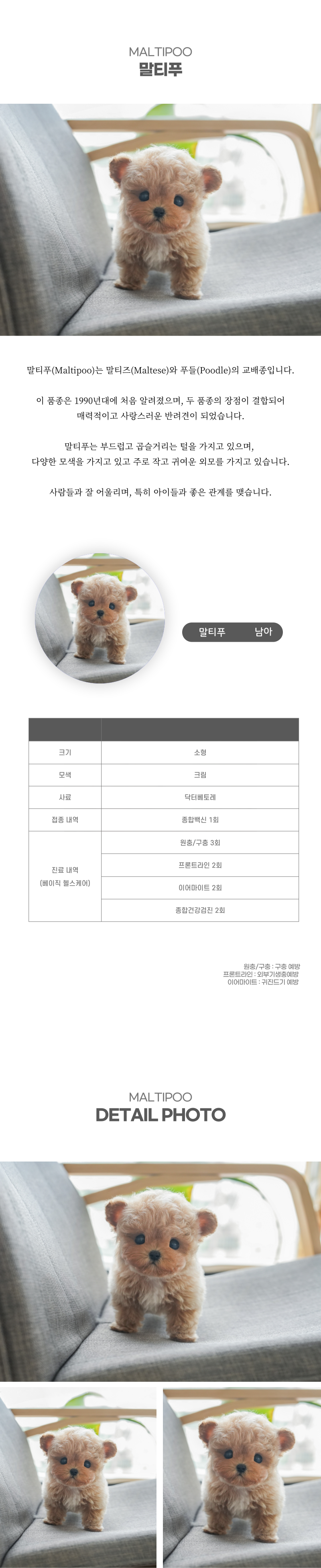 말티푸_상세이미지_2