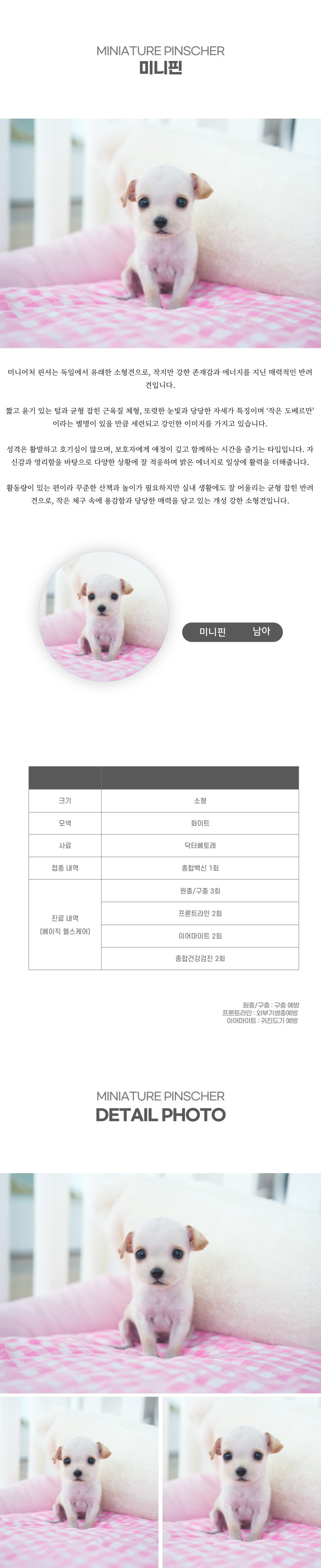 미니핀핀_상세이미지_2