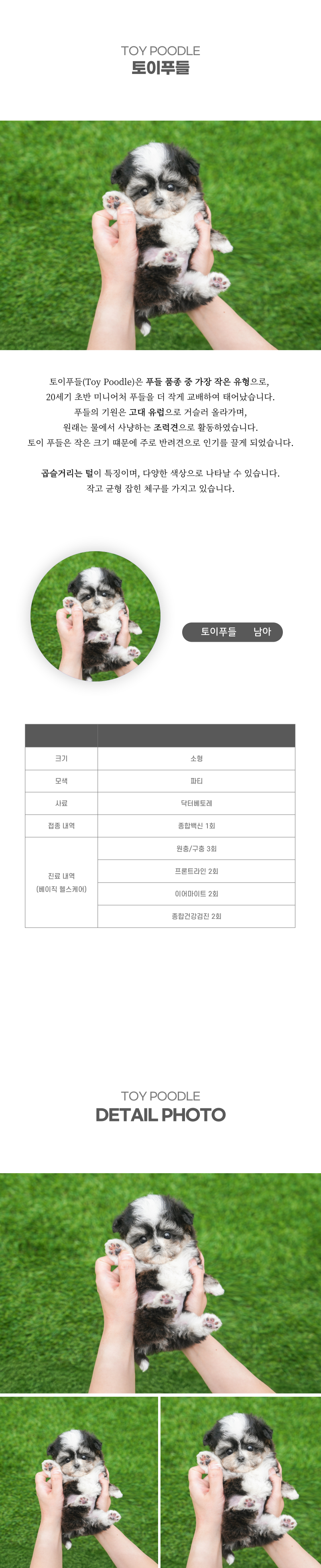 토이푸들_상세이미지_2