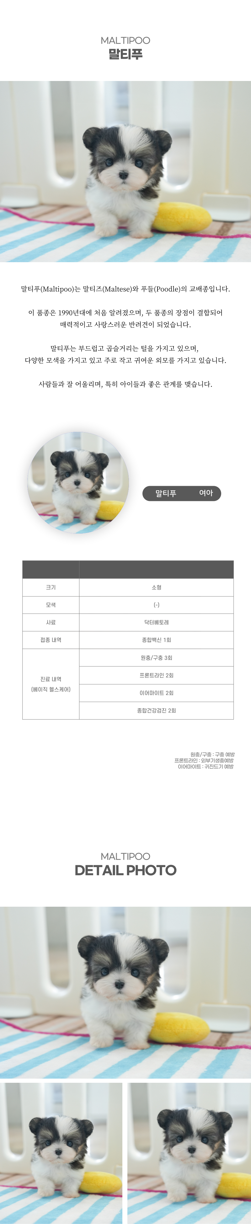 말티푸_상세이미지_2