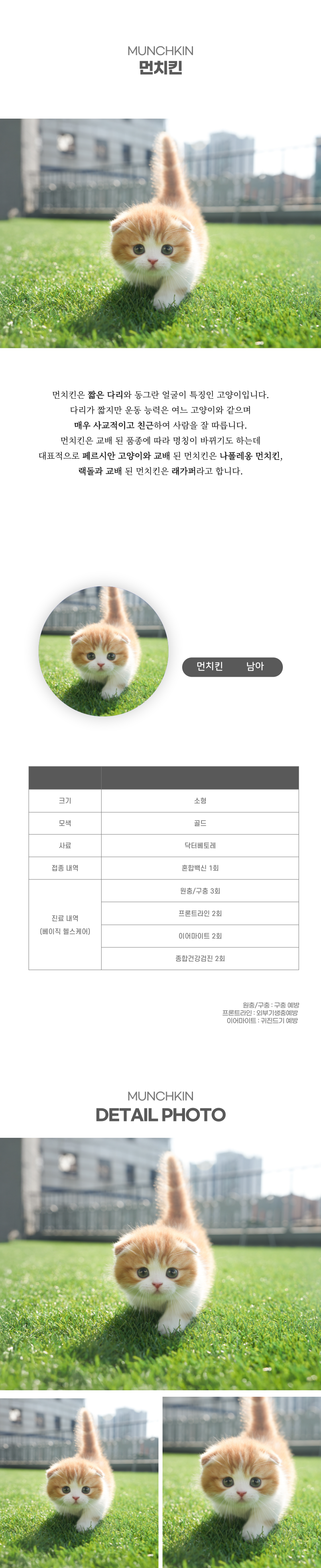 먼치킨_상세이미지_2