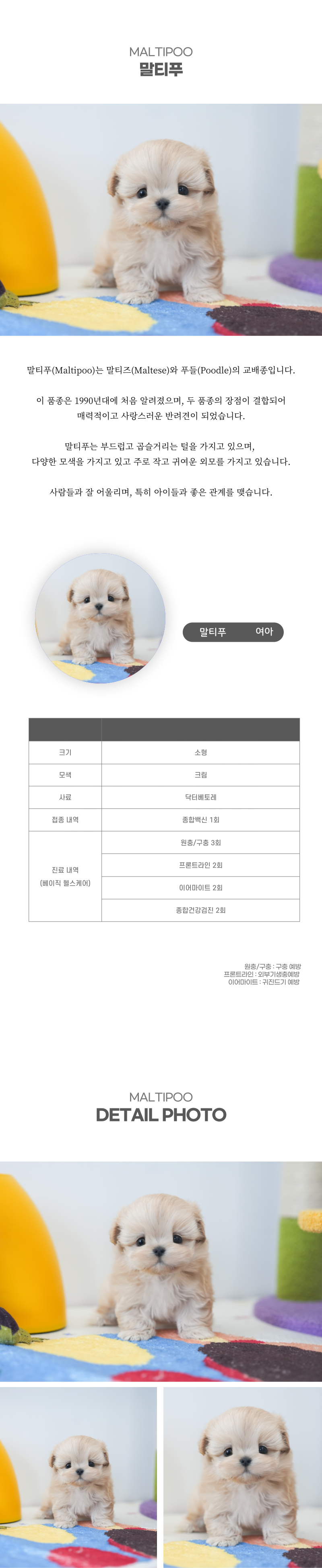 말티푸_상세이미지_2