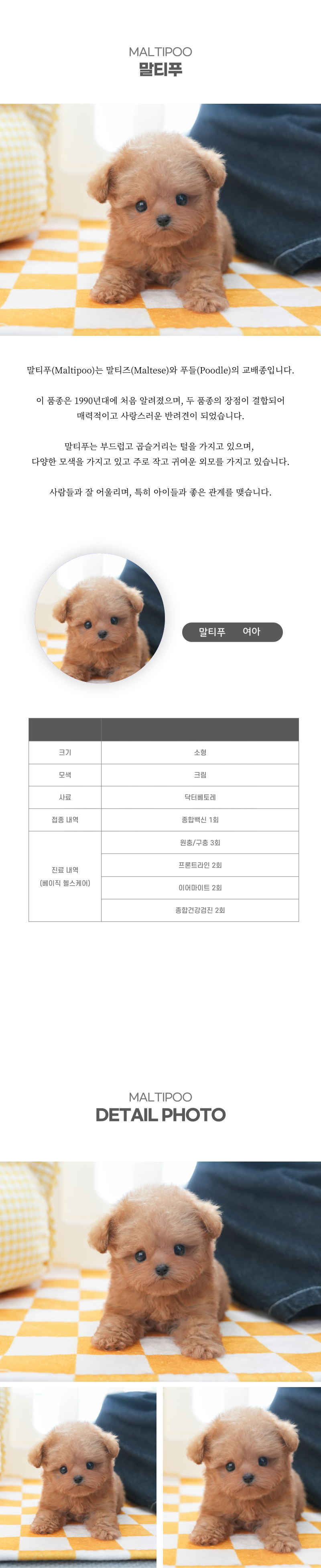 말티푸_상세이미지_2