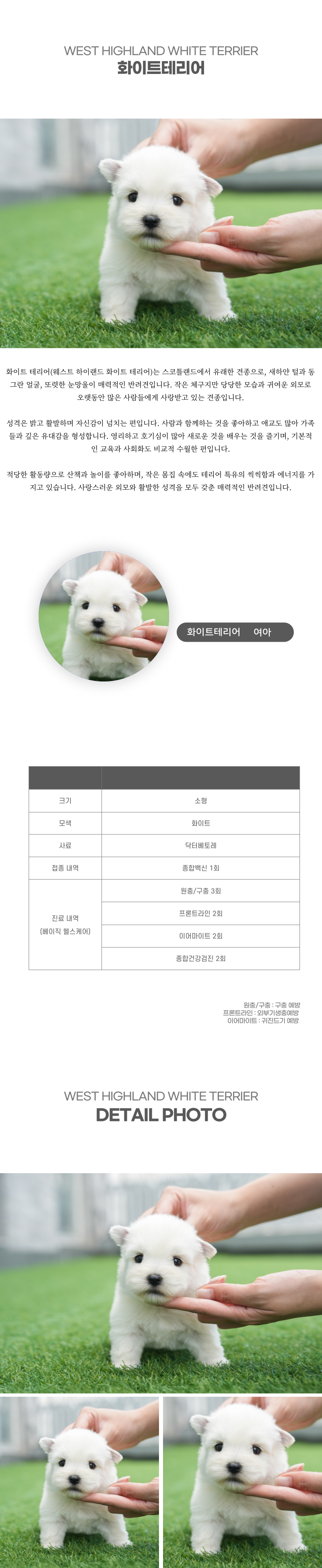 화이트테리어_상세이미지_2