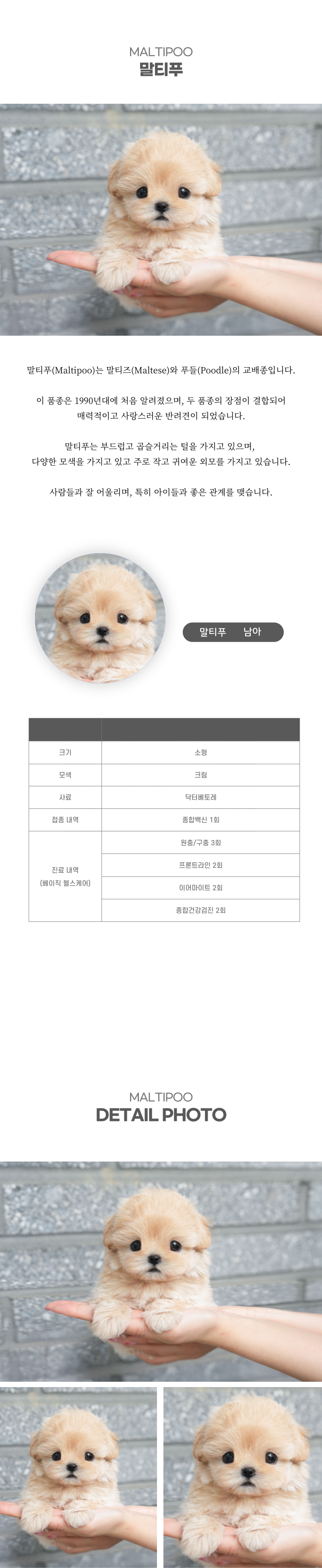 말티푸_상세이미지_2