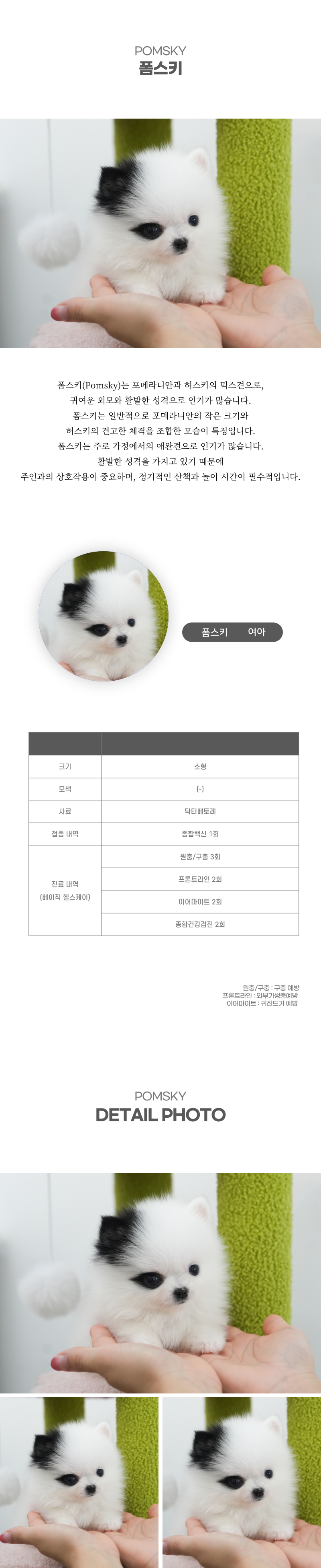 폼스키_상세이미지_2