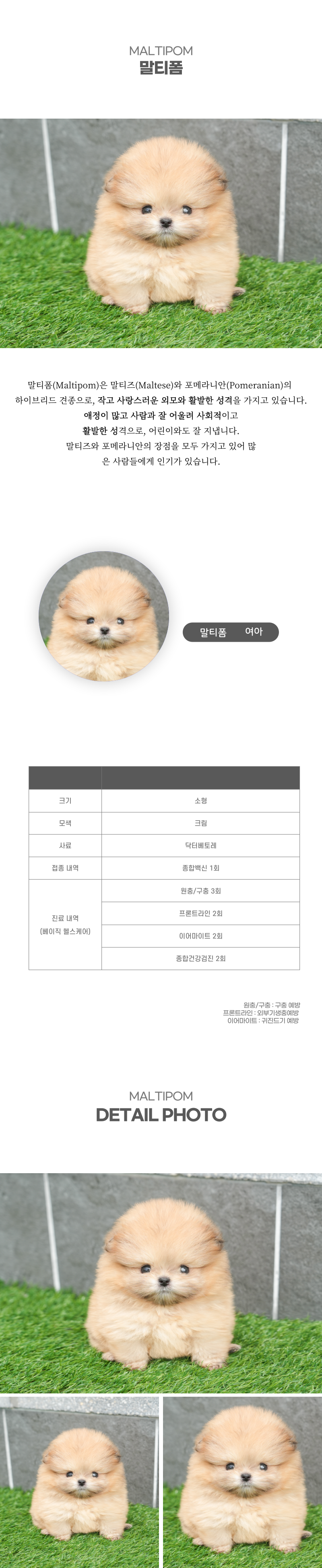 말티폼_상세이미지_2