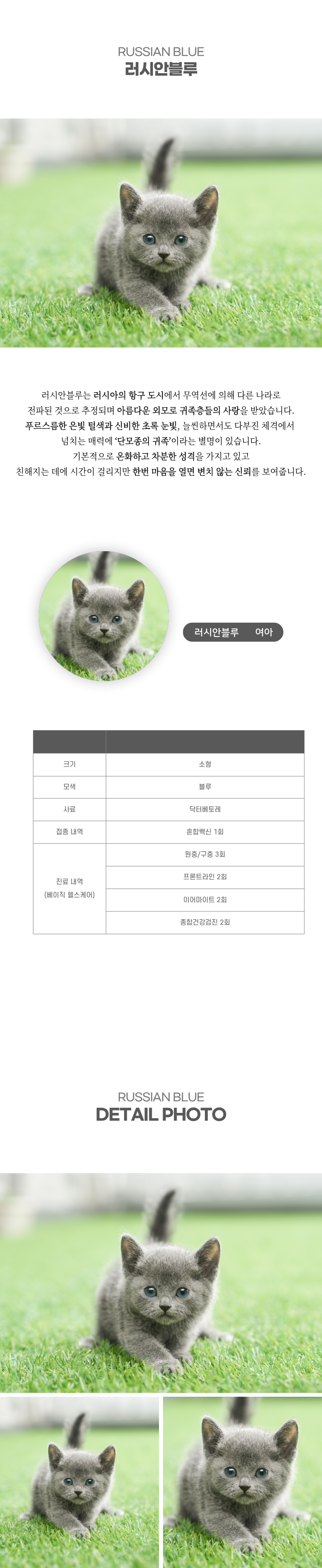 러시안블루_상세이미지_2