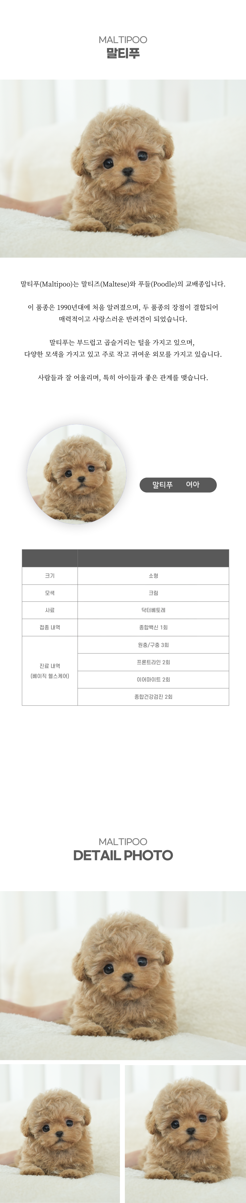 말티푸_상세이미지_2