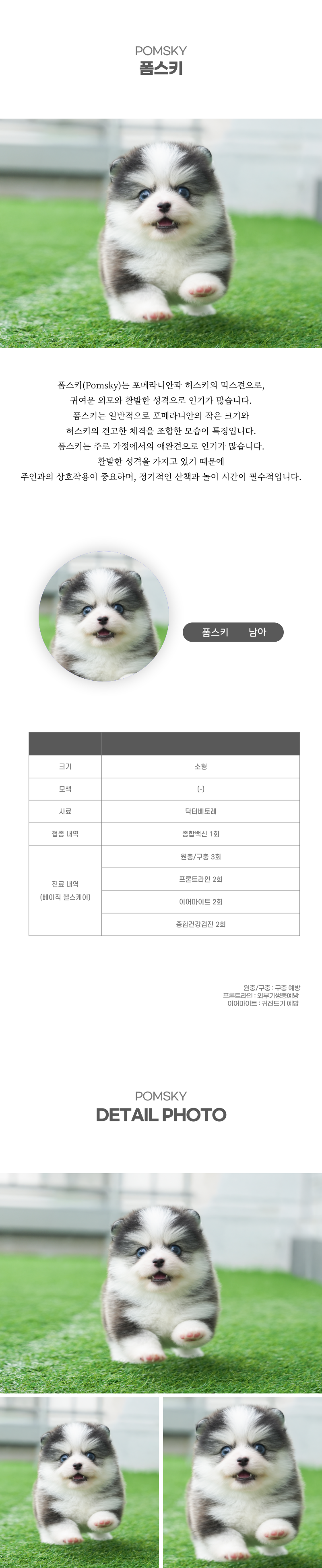 폼스키_상세이미지_2