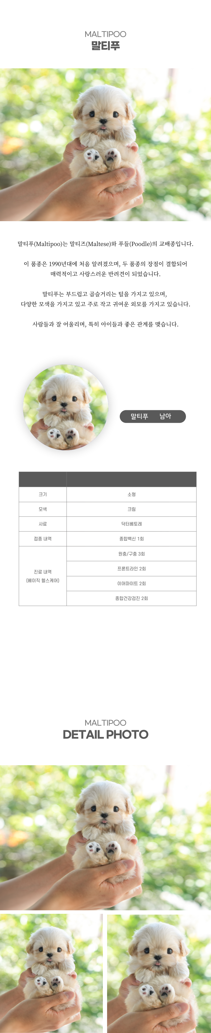 말티푸_상세이미지_2