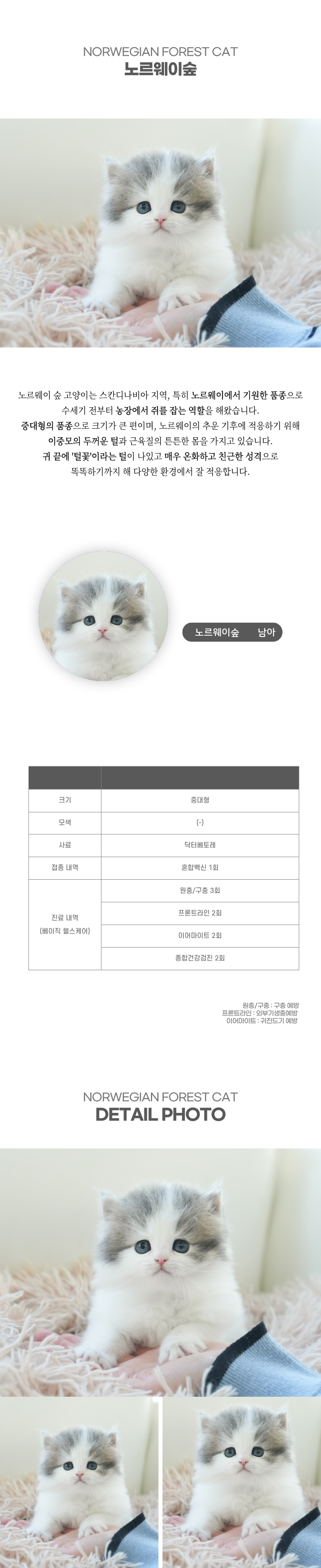 노르웨이숲_상세이미지_2
