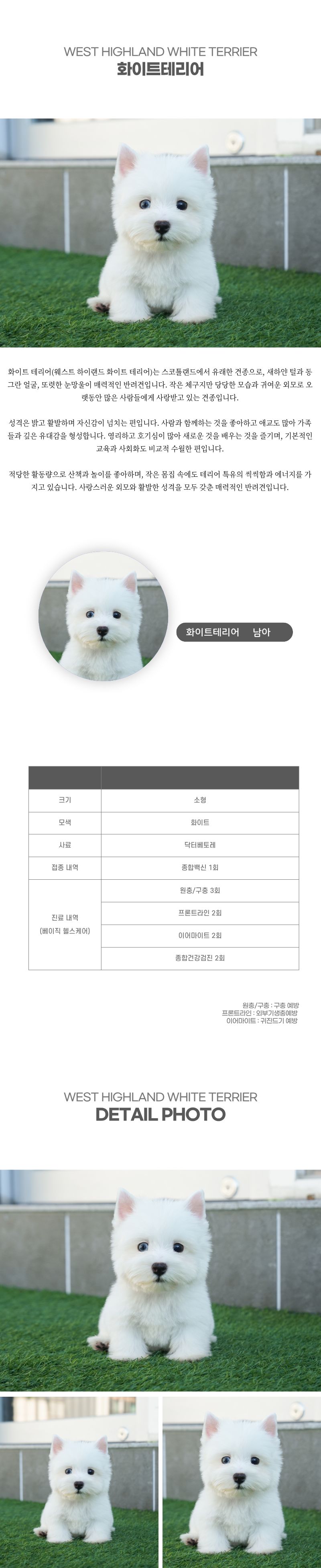 화이트테리어_상세이미지_2