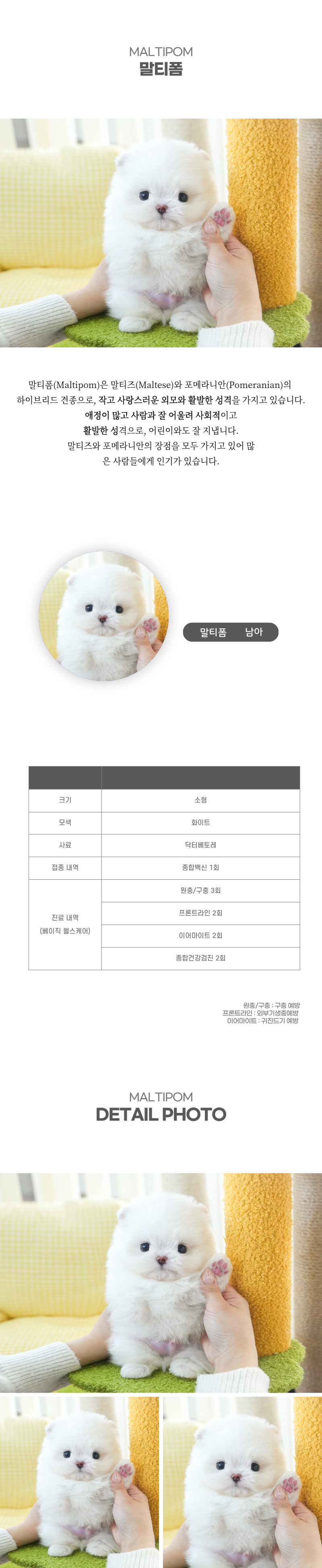 말티폼_상세이미지_2