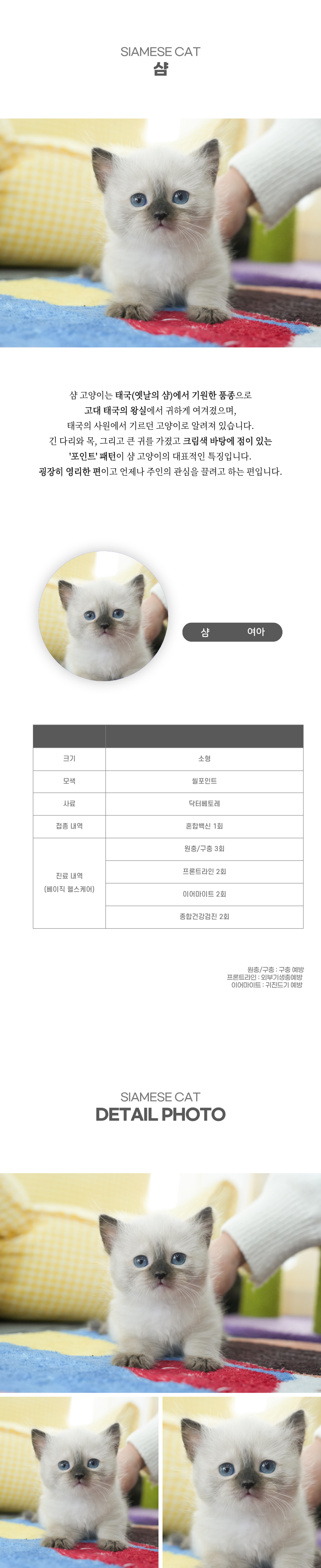샴_상세이미지_2