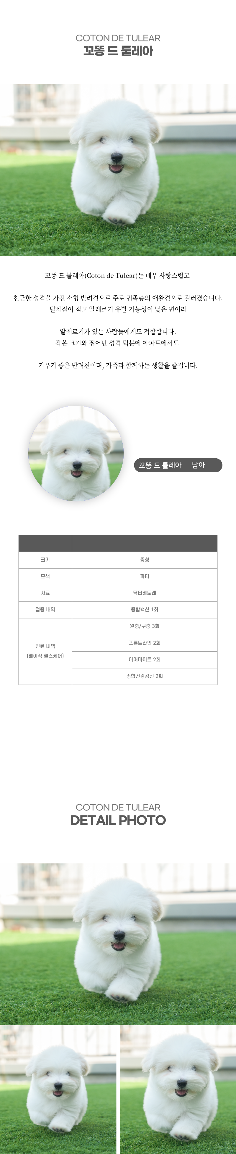 꼬똥_상세이미지_2