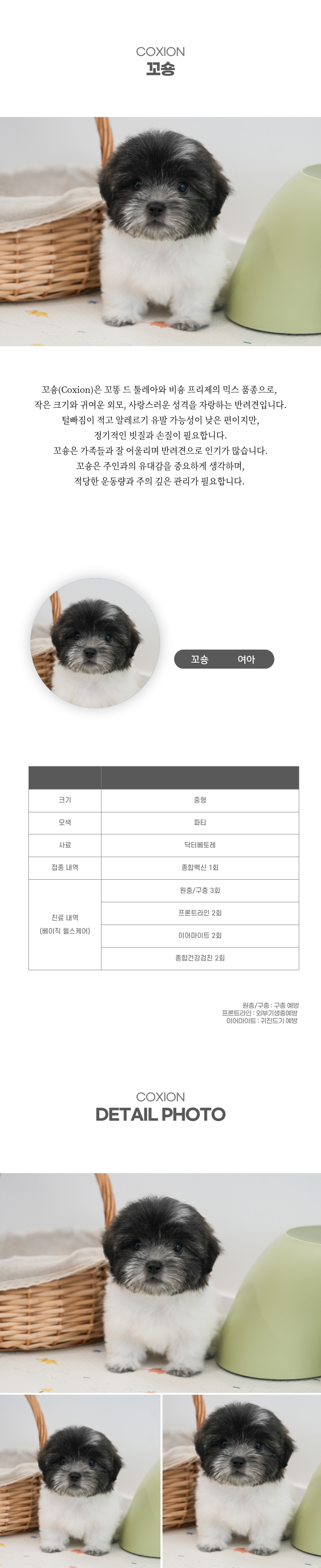꼬숑_상세이미지_2