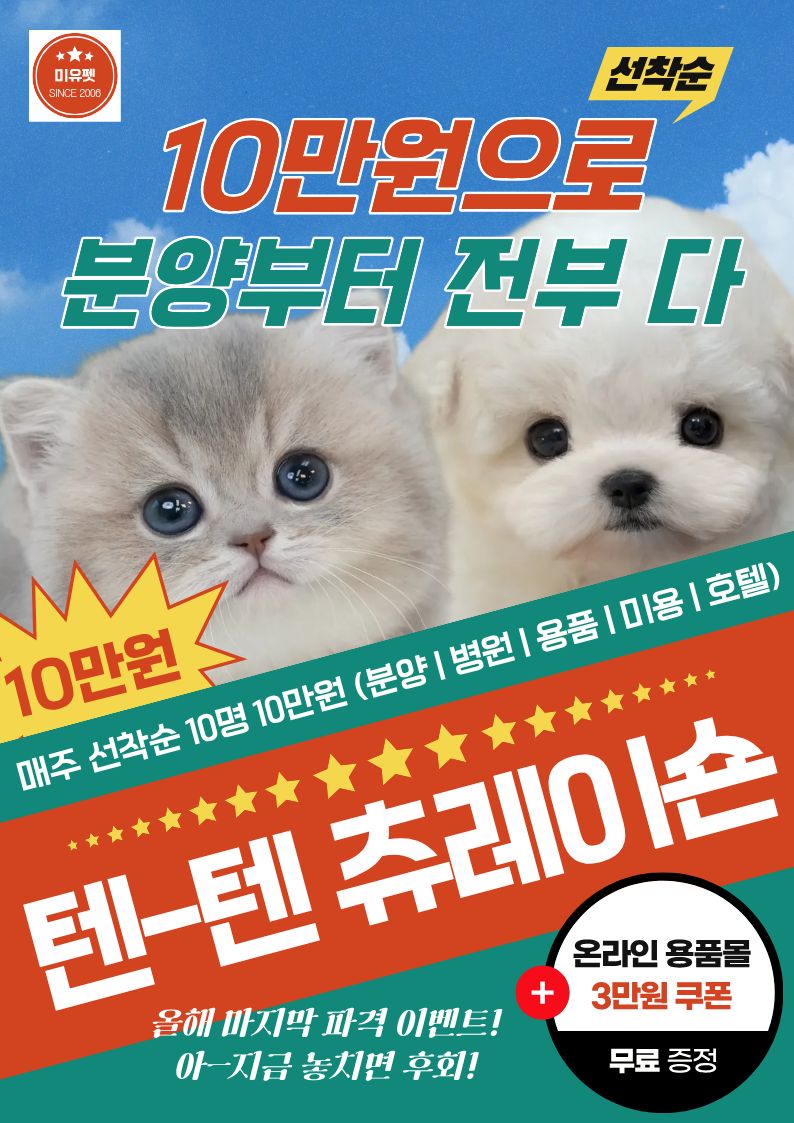 미유펫서울_팝업_4