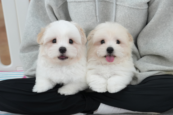 DSC03300 복사.jpg