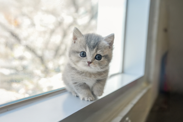 브숏_여아_더블원_390730 복사55.jpg